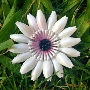 Vintage Pearlized White Gerber Daisy Large Brooch
